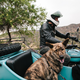 Illustration for article titled Dogs And Sidecars, A Match Made In Motorcycle Heaven